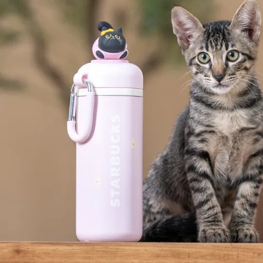 Starbucks Midnight Meow Stainless Steel Water Bottle 12oz